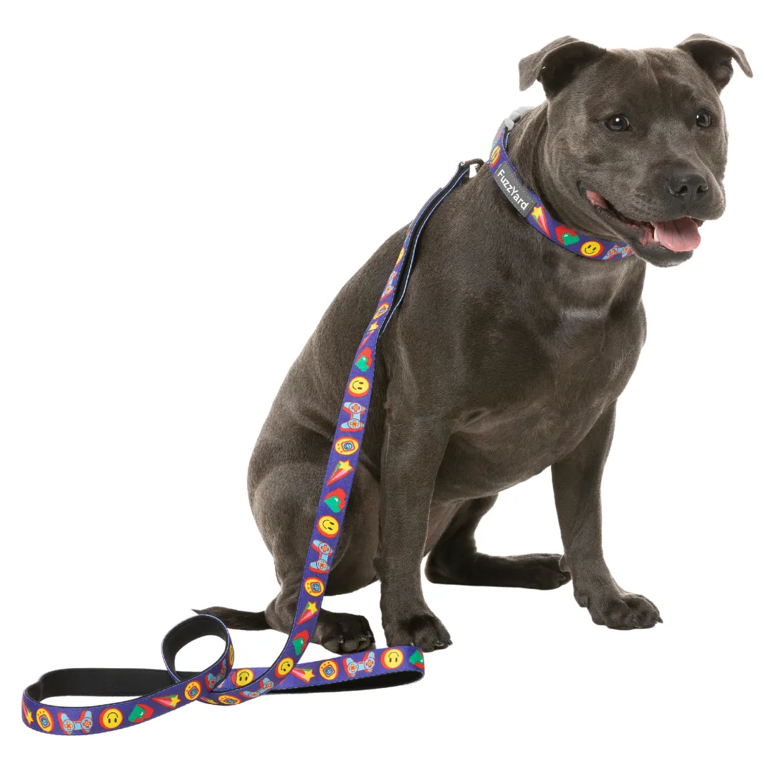 15% OFF: FuzzYard Highscore Dog Lead