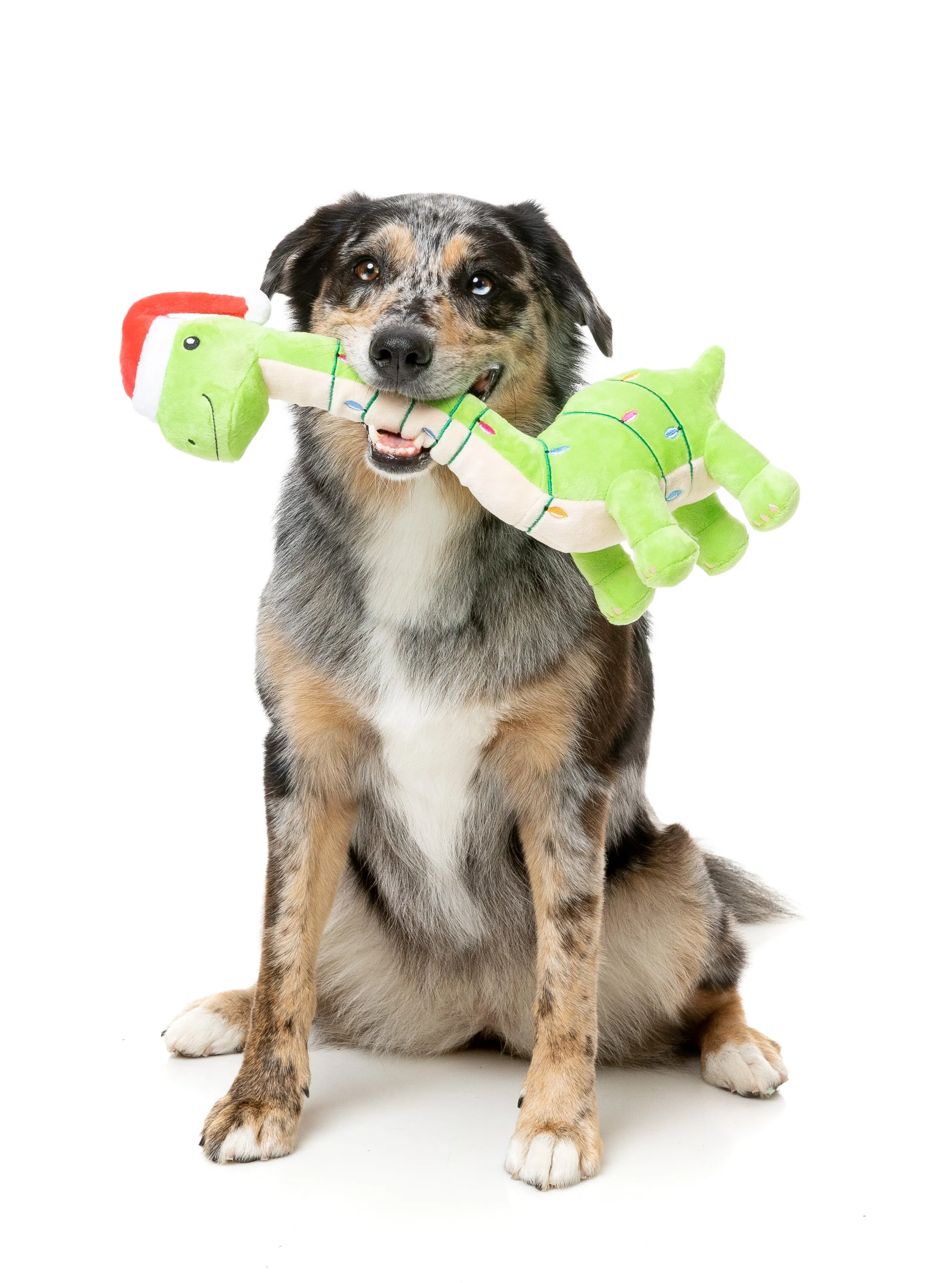 15% OFF: FuzzYard Lit-a-Saurus Plush Dog Toy