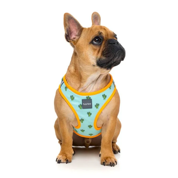 15% OFF: FuzzYard Tucson Dog Step-In Harness