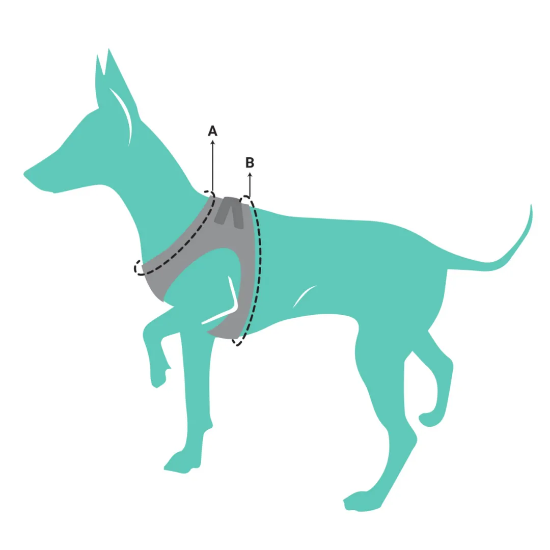 15% OFF: FuzzYard Tucson Dog Step-In Harness