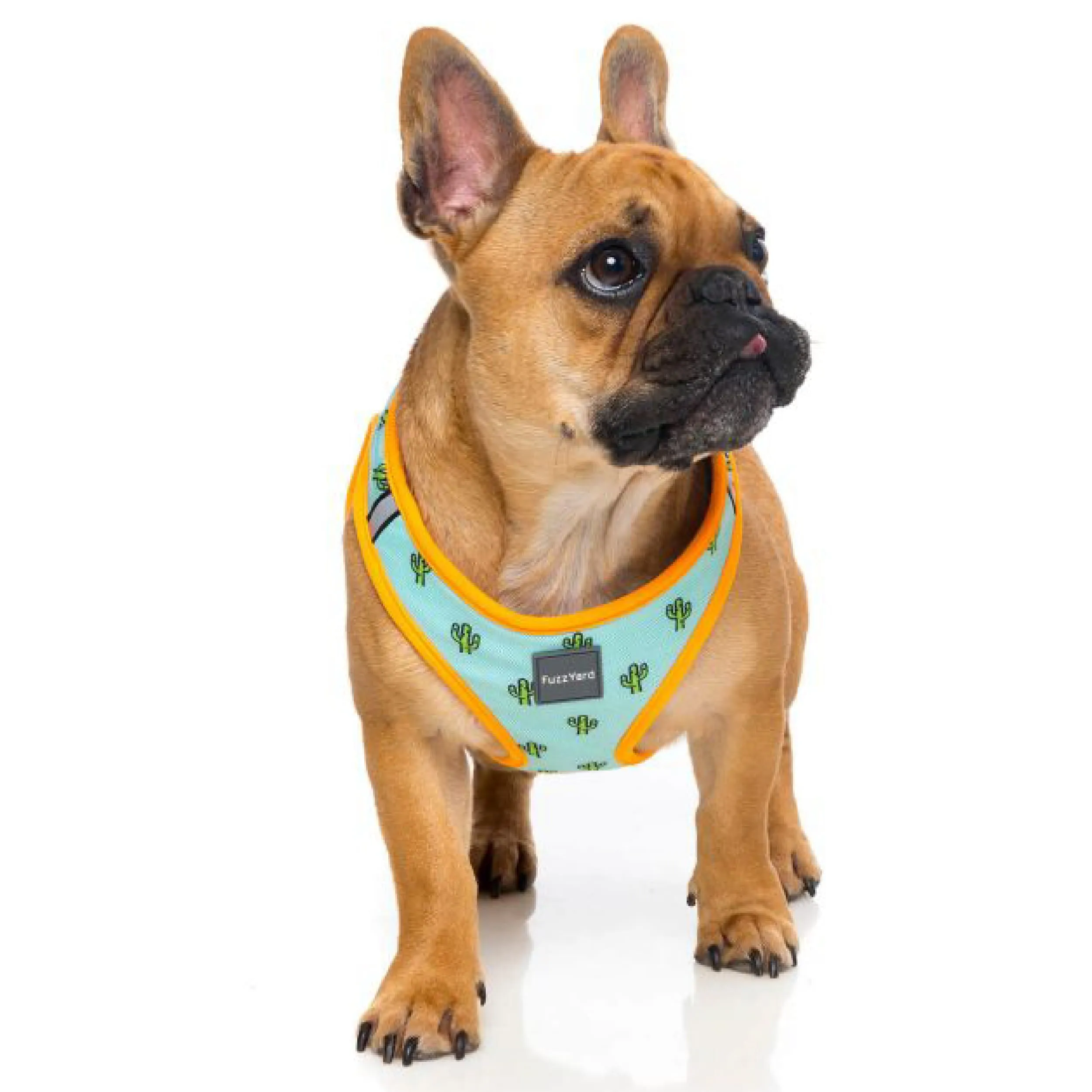 15% OFF: FuzzYard Tucson Dog Step-In Harness