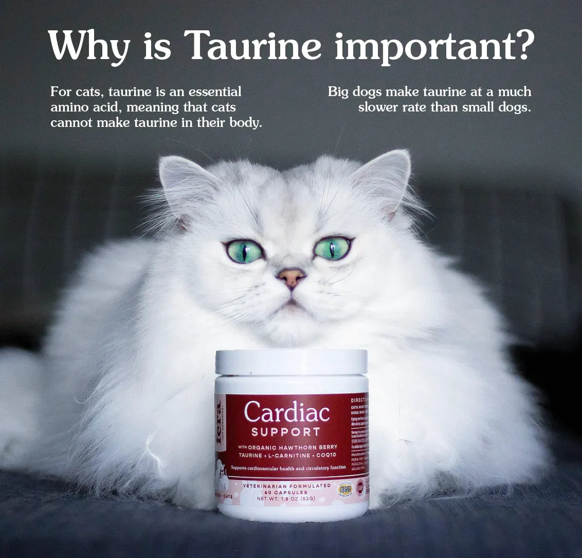 Fera Pet Organics Cardiac Support For Dogs & Cats