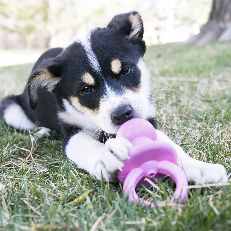 KONG Puppy Binkie Medium Dog Toy^^^