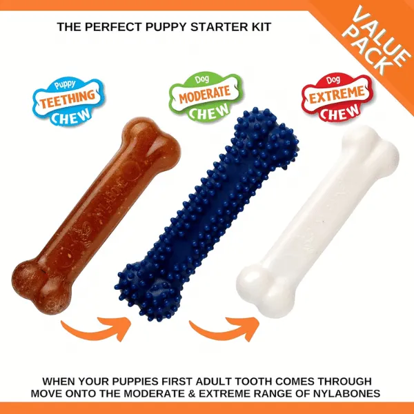 Nylabone Puppy Starter Kit